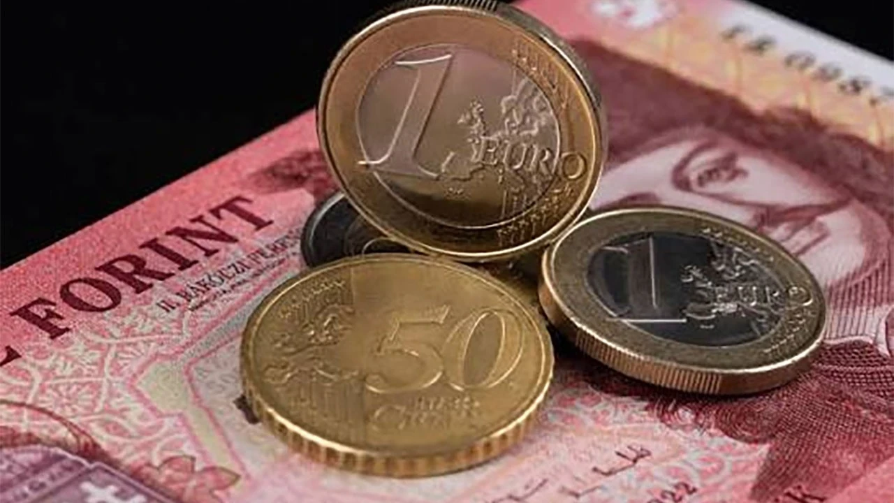 Macaristanın Euro Bölgesi'ne Katılma Hedefi