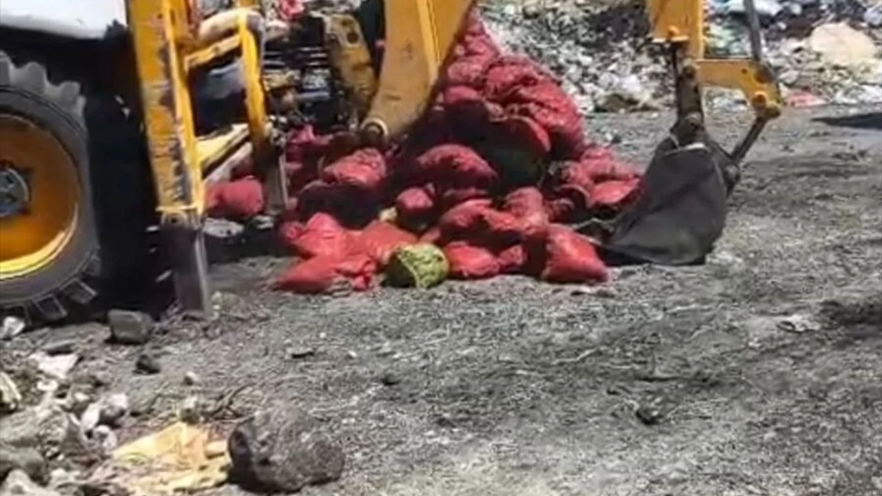 İzmir ve Çevresindeki Anlık Bilgi Servisi