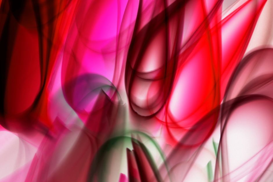Splash Canvas: Create Abstract Art (with An Attitude)
