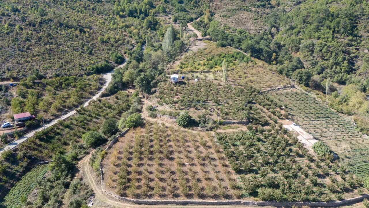 Kemalpaşa Belediyesi'nden Arsa Satış Kararı